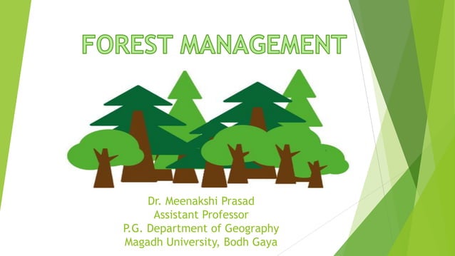 Forest management | PDF