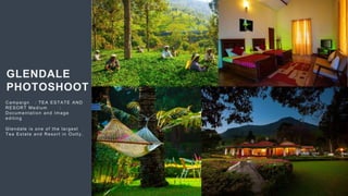 58
GLENDALE
PHOTOSHOOT
Campaign : TEA ESTATE AND
RESORT Medium :
Documentation and Image
editing
Glendale is one of the largest
Tea Estate and Resort in Ootty.
 