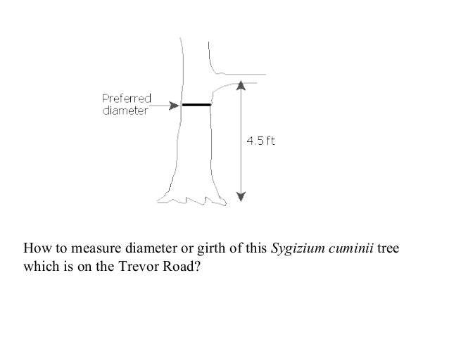 Forest Mensuratiion Slide 2