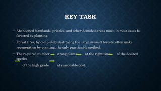 KEY TASK
• Abandoned farmlands, priaries, and other denuded areas must, in most cases be
forested by planting.
• Forest fires, by completely destroying the large areas of forests, often make
regeneration by planting, the only practicable method.
• The required number strong plants at the right time of the desired
species
of the high grade at reasonable cost.
 