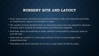 NURSERY SITE AND LAYOUT
• Every large nursery should be permanently divided by roads and crossroads into blocks
or compartments, square or rectangular in shape.
• The number of roads should be kept to a minimum and in each case adapted to character
of output and to methods of transportation and cultivation employed.
• Seed beds, when not bordering on roads, should be surrounded by temporary paths at
least 2ft wide.
• Seeds beds are usually 3 to 4 feet wide and from 12 feet to entire length of the
compartment long.
• Transplants are most commonly set in rows in large blocks divided by paths.
 