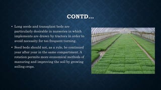 CONTD…
• Long seeds and transplant beds are
particularly desirable in nurseries in which
implements are drawn by tractors in order to
avoid necessity for too frequent turning.
• Seed beds should not, as a rule, be continued
year after year in the same compartment. A
rotation permits more economical methods of
manuring and improving the soil by growing
soiling crops.
 