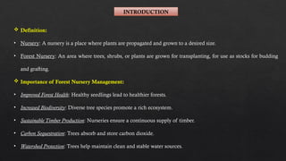 Overview of Forest Nursery Management And its Aspects | PPTX