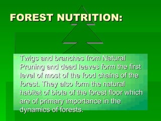 FOREST NUTRITION: ,[object Object]
