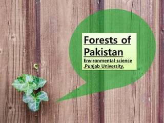 Forests of
Pakistan
Environmental science
,Punjab University.
 