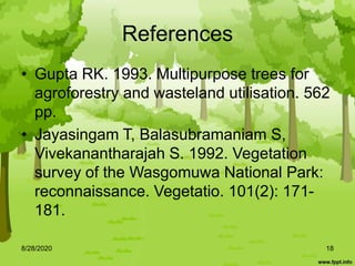 Terminalia arjuna tree description
