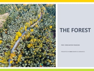 FOREST PRESENTATION 1.pptx