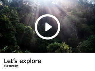 Let’s explore
our forests
 
