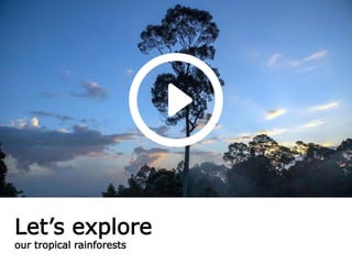 Let’s explore
our tropical rainforests
 