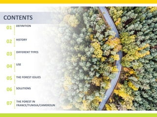 CONTENTS
DEFINITION
01
HISTORY
02
DIFFERENT TYPES
03
USE
04
05 THE FOREST ISSUES
07
06 SOLUTIONS
THE FOREST IN
FRANCE/TUNISIA/CAMEROUN
 