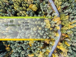 07
THE FOREST IN
1. France
2. Tunisia
3. Iameroun
 