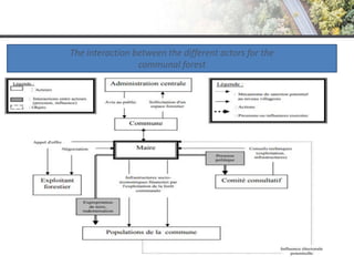 The interaction between the different actors for the
communal forest
 