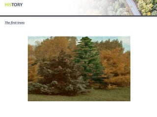 HISTORY
The first trees
 