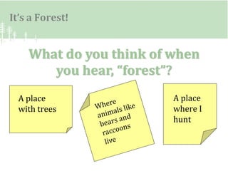 Forest presentation | PPTX