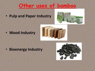 Other uses of bamboo
• Pulp and Paper Industry
• Wood Industry
• Bioenergy Industry
 