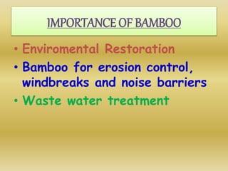 IMPORTANCE OF BAMBOO
• Enviromental Restoration
• Bamboo for erosion control,
windbreaks and noise barriers
• Waste water treatment
 