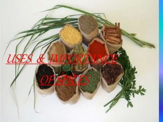 USES & IMPORTANCE
OF SPICES
 