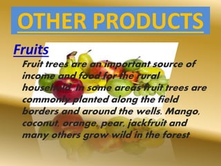 OTHER PRODUCTS
Fruits
Fruit trees are an important source of
income and food for the rural
household. In some areas fruit trees are
commonly planted along the field
borders and around the wells. Mango,
coconut, orange, pear, jackfruit and
many others grow wild in the forest.
 