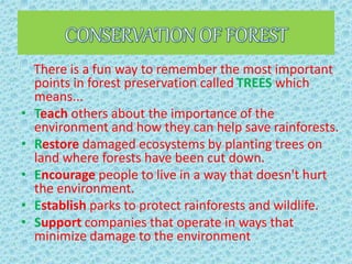 There is a fun way to remember the most important
points in forest preservation called TREES which
means...
• Teach others about the importance of the
environment and how they can help save rainforests.
• Restore damaged ecosystems by planting trees on
land where forests have been cut down.
• Encourage people to live in a way that doesn't hurt
the environment.
• Establish parks to protect rainforests and wildlife.
• Support companies that operate in ways that
minimize damage to the environment
 