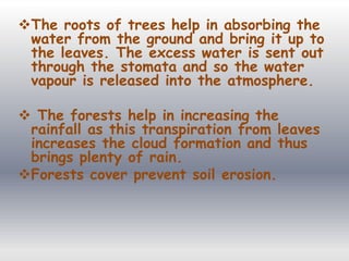 The roots of trees help in absorbing the
water from the ground and bring it up to
the leaves. The excess water is sent out
through the stomata and so the water
vapour is released into the atmosphere.
 The forests help in increasing the
rainfall as this transpiration from leaves
increases the cloud formation and thus
brings plenty of rain.
Forests cover prevent soil erosion.
 