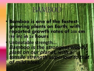 BAMBOO
• Bamboo is one of the fastest-
growing plants on Earth, with
reported growth rates of 250 cm
(98 in) in 24 hours
• Unbeatable strength...
Bamboo is the strongest woody
plant on our planet, with a
tensile strength superiour to that
of mild steel.
 