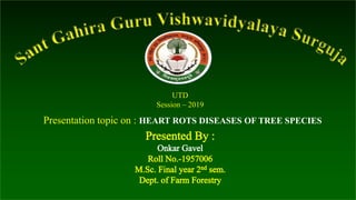 UTD
Session – 2019
Presentation topic on : HEART ROTS DISEASES OF TREE SPECIES
 