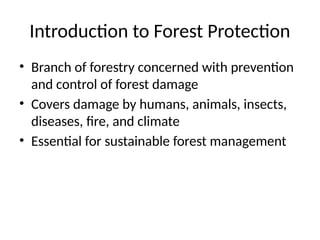 Comprehensive Forest Protection Strategies for Sustainable Management ...
