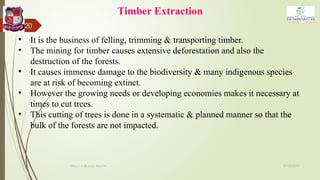 Extinct Timber Forests The Lungs of Our Planet Forests | PPTX