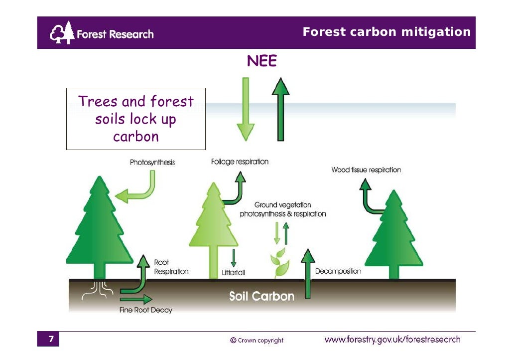 Forest Mitigation delivering carbon benefits Mike Perks