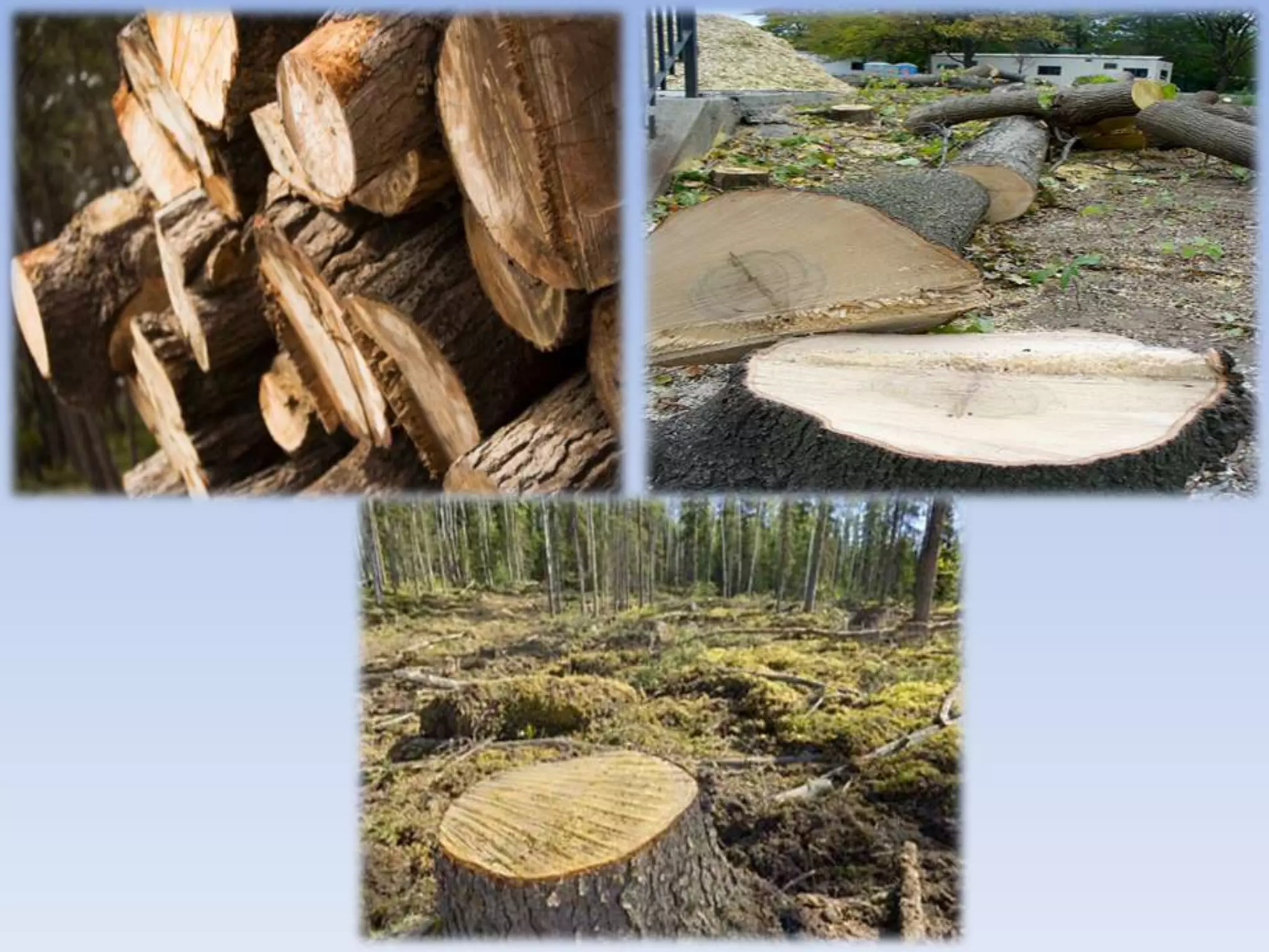 DEFORESTATION It means reckless or large-scale felling or cutting of trees by man for commercial and other purposes. The FAO(Food and Agriculture Organization) of the UN defines ”change of forest with depletion of tree crown cover more than 90%.”