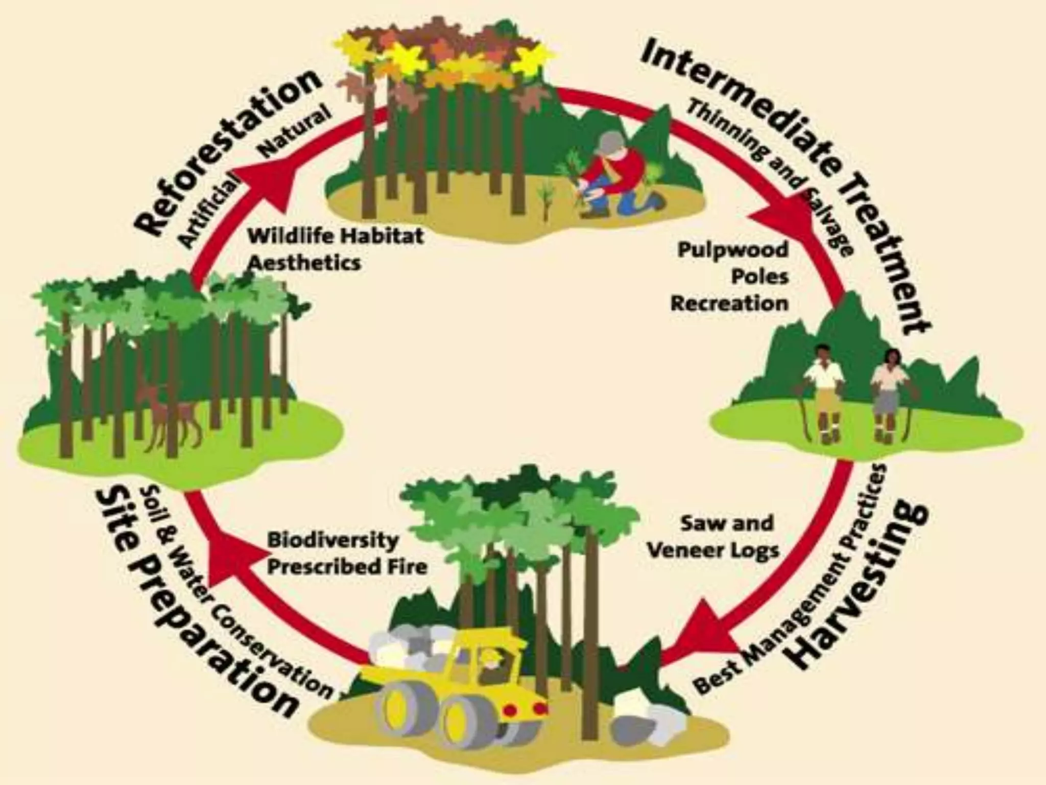 Control of deforestation.Prevention of human settlement in forest areas. Check on expansion of agriculture into forest lands.Prohibition of setting up of agriculture into forest lands Check on reckless cutting of trees.Controlled mining in forest areas.Check on construction of large dams in forest areas.Control on over grazing in forest areas.      