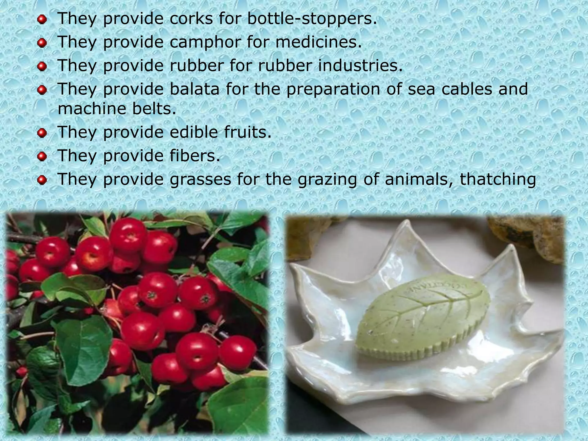 Uses of forest They provide timber for house-building, ship-building, bridges, railway carriages, furniture's etc.  They supply fire wood and charcoal for fuel in homes and in industries. They provide wood pulp for the paper and rayon industries.They provide honey for food and medicines. They provide bee wax for candles, medicines, shoe-making etc. They provide canes foe baskets, mats, chairs, ropes, walking sticks and umbrella handles. They provide sandal wood for carved boxes and small domestic articles .They provide tanning materials in the form of wood, barks, leaves, roots,  and fruits for tanning hides and skin. 