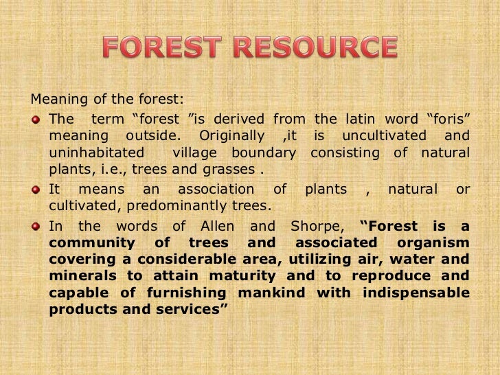 Forest essay in english