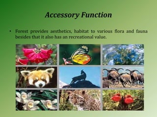 Accessory Function
• Forest provides aesthetics, habitat to various flora and fauna
besides that it also has an recreational value.
 