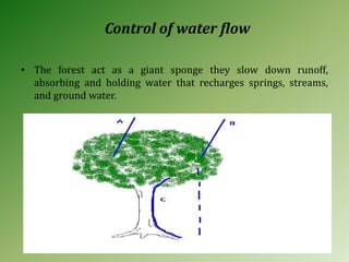 Control of water flow
• The forest act as a giant sponge they slow down runoff,
absorbing and holding water that recharges springs, streams,
and ground water.
 