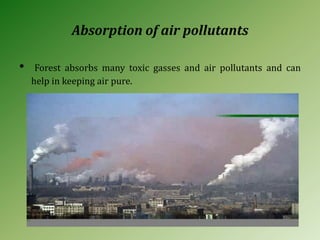 Absorption of air pollutants
• Forest absorbs many toxic gasses and air pollutants and can
help in keeping air pure.
 