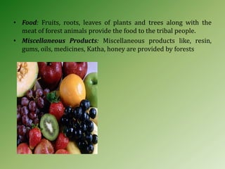 • Food: Fruits, roots, leaves of plants and trees along with the
meat of forest animals provide the food to the tribal people.
• Miscellaneous Products: Miscellaneous products like, resin,
gums, oils, medicines, Katha, honey are provided by forests
 