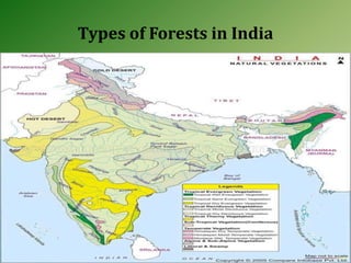 Types of Forests in India
 