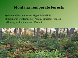 Montana Temperate Forests
a)Montana Wet temperate: Nilgiri, Palmi Hills
b) Himalayan wet temperate: Assam, Himachal Pradesh
c) Himalayan dry temperate: Kashmir
 