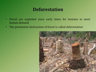 Deforestation
• Forest are exploited since early times for humans to meet
human demand
• The permanent destruction of forest is called deforestation
 
