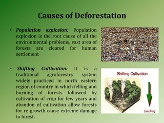 Causes of Deforestation
• Population explosion: Population
explosion is the root cause of all the
environmental problems, vast area of
forests are cleared for human
settlement
• Shifting Cultivation: It is a
traditional agroforestry system
widely practiced in north eastern
region of country in which felling and
burning of forests followed by
cultivation of crop for few years and
abandon of cultivation allow forests
for re-growth cause extreme damage
to forest.
 