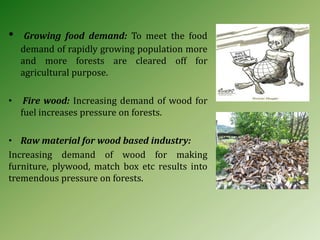 • Growing food demand: To meet the food
demand of rapidly growing population more
and more forests are cleared off for
agricultural purpose.
• Fire wood: Increasing demand of wood for
fuel increases pressure on forests.
• Raw material for wood based industry:
Increasing demand of wood for making
furniture, plywood, match box etc results into
tremendous pressure on forests.
 