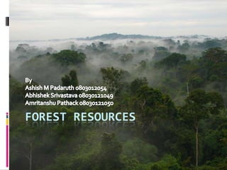 FOREST RESOURCES	 By  Ashish M Padaruth 0803012054 AbhishekSrivastava 08030121049 AmritanshuPathack 08030121050 