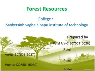 Forest Resources
College :
Sankersinh vaghela bapu institute of technology
Prepared by
Patel Ajay(130750116026)
Patel
Ankit(130750116027)
Patel
Heena(130750116030)
Patel
 