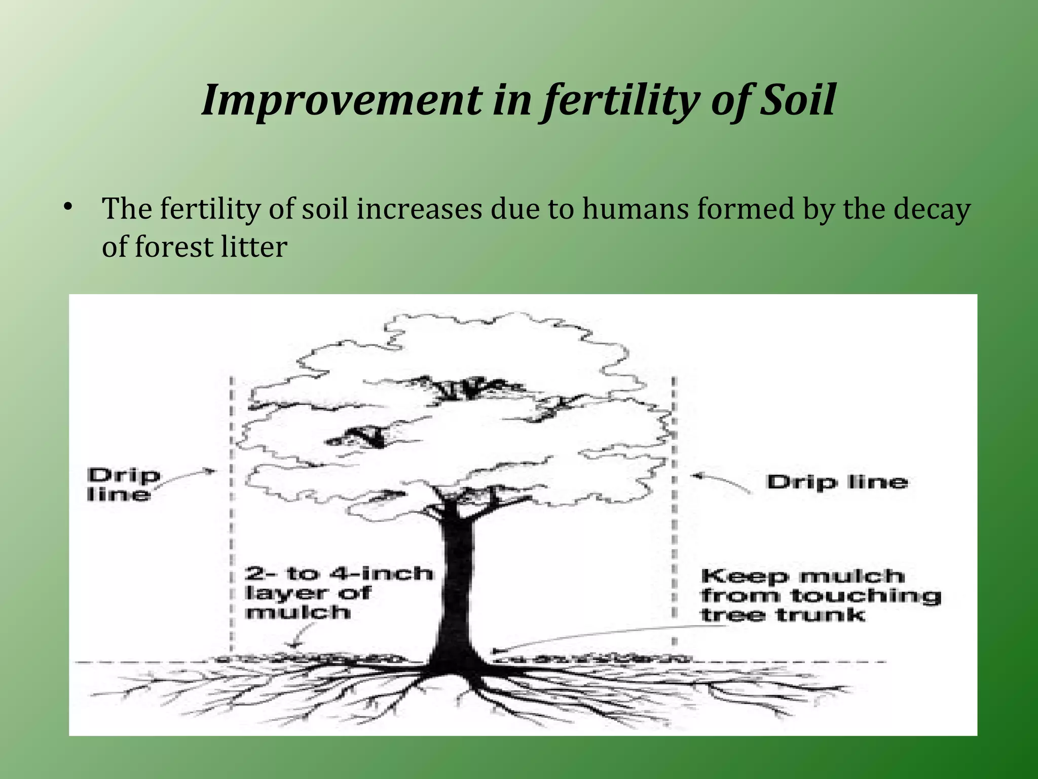 Improvement in fertility of Soil
• The fertility of soil increases due to humans formed by the decay
of forest litter
 