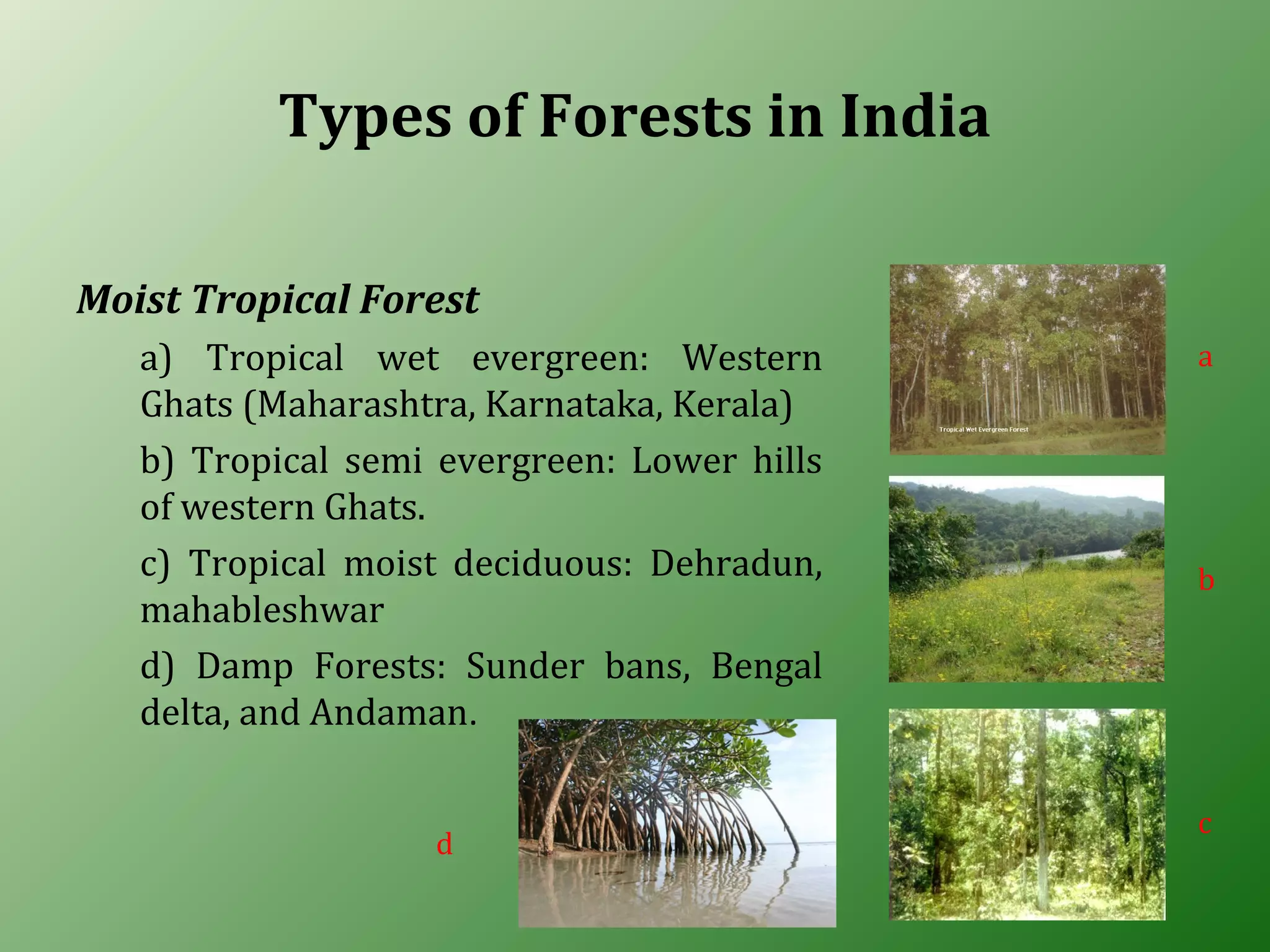 Types of Forests in India
Moist Tropical Forest
a) Tropical wet evergreen: Western
Ghats (Maharashtra, Karnataka, Kerala)
b) Tropical semi evergreen: Lower hills
of western Ghats.
c) Tropical moist deciduous: Dehradun,
mahableshwar
d) Damp Forests: Sunder bans, Bengal
delta, and Andaman.
a
b
d
c
 