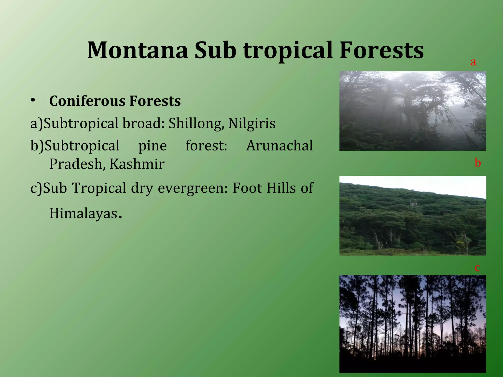 Montana Sub tropical Forests
• Coniferous Forests
a)Subtropical broad: Shillong, Nilgiris
b)Subtropical pine forest: Arunachal
Pradesh, Kashmir
c)Sub Tropical dry evergreen: Foot Hills of
Himalayas.
a
b
c
 