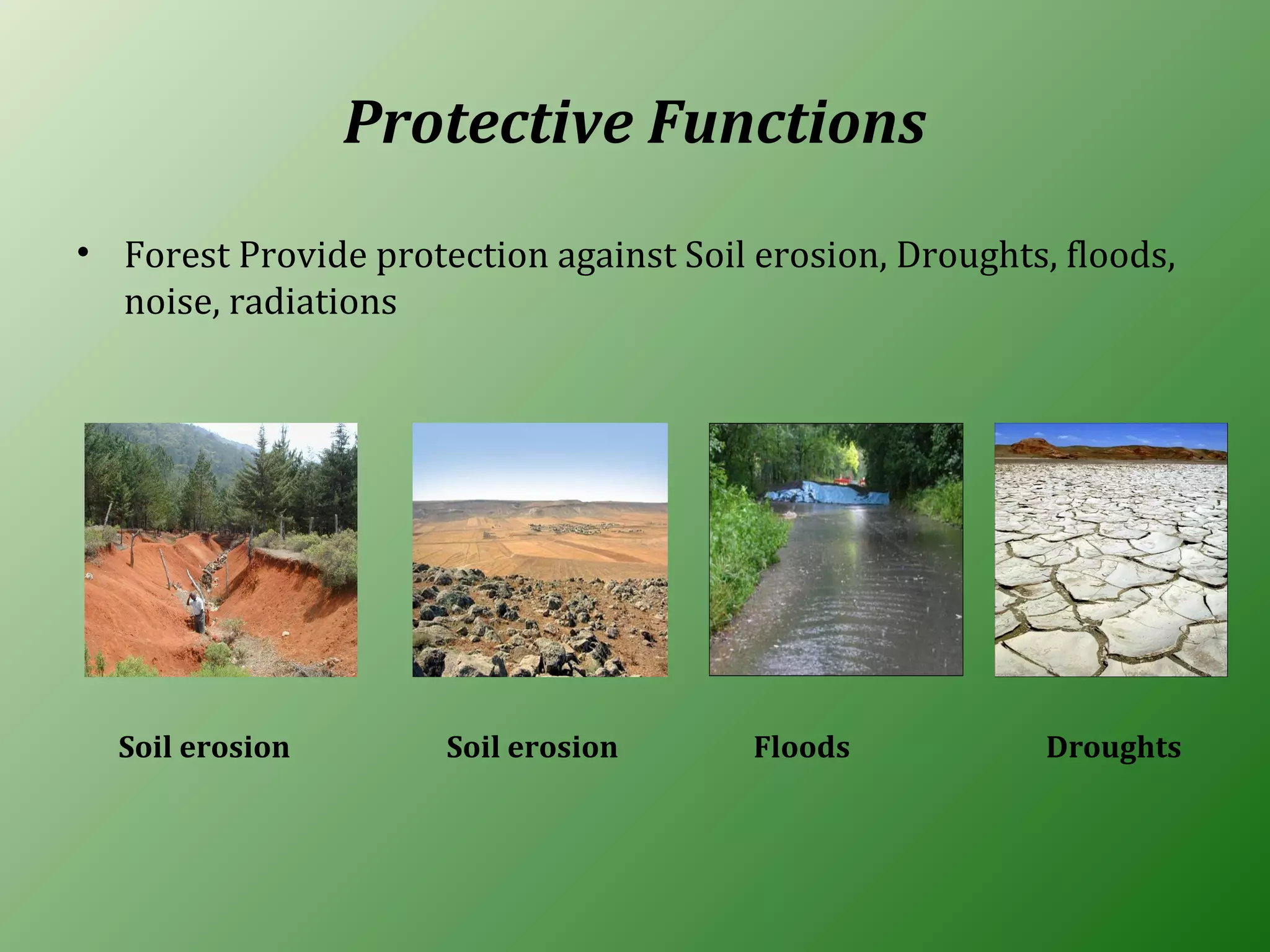 Protective Functions
• Forest Provide protection against Soil erosion, Droughts, floods,
noise, radiations
Soil erosion FloodsSoil erosion Droughts
 