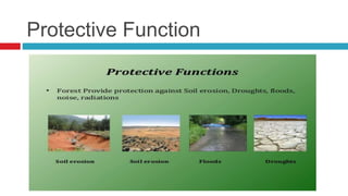 Protective Function
 