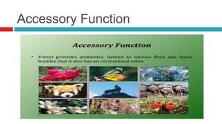 Accessory Function
 
